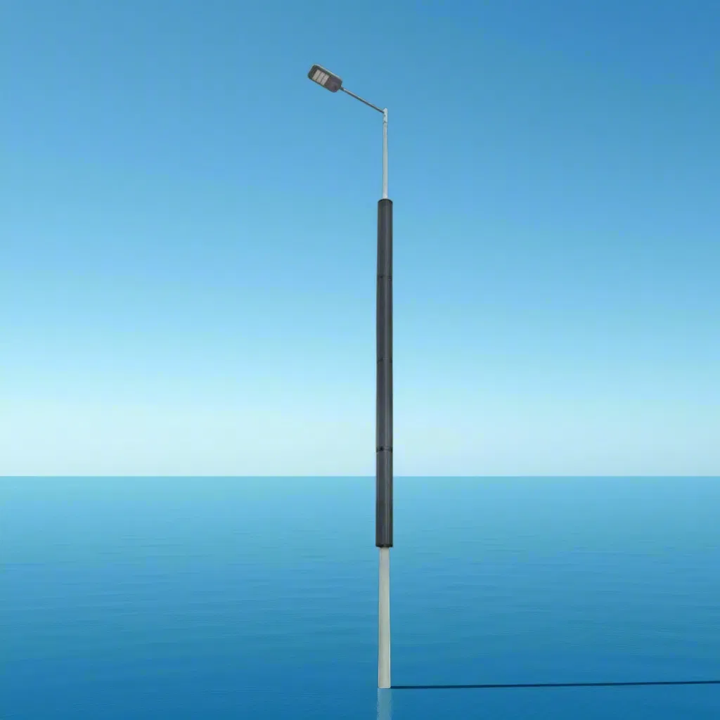 Durable High Lumen 60W 80W Solar Pole Street Lamp for North Europe