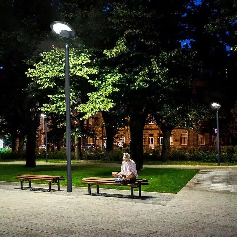 Professional Manufacturer IP65 Outdoor Waterproof Garden Road Path Lighting Integrated LED Solar Garden Light