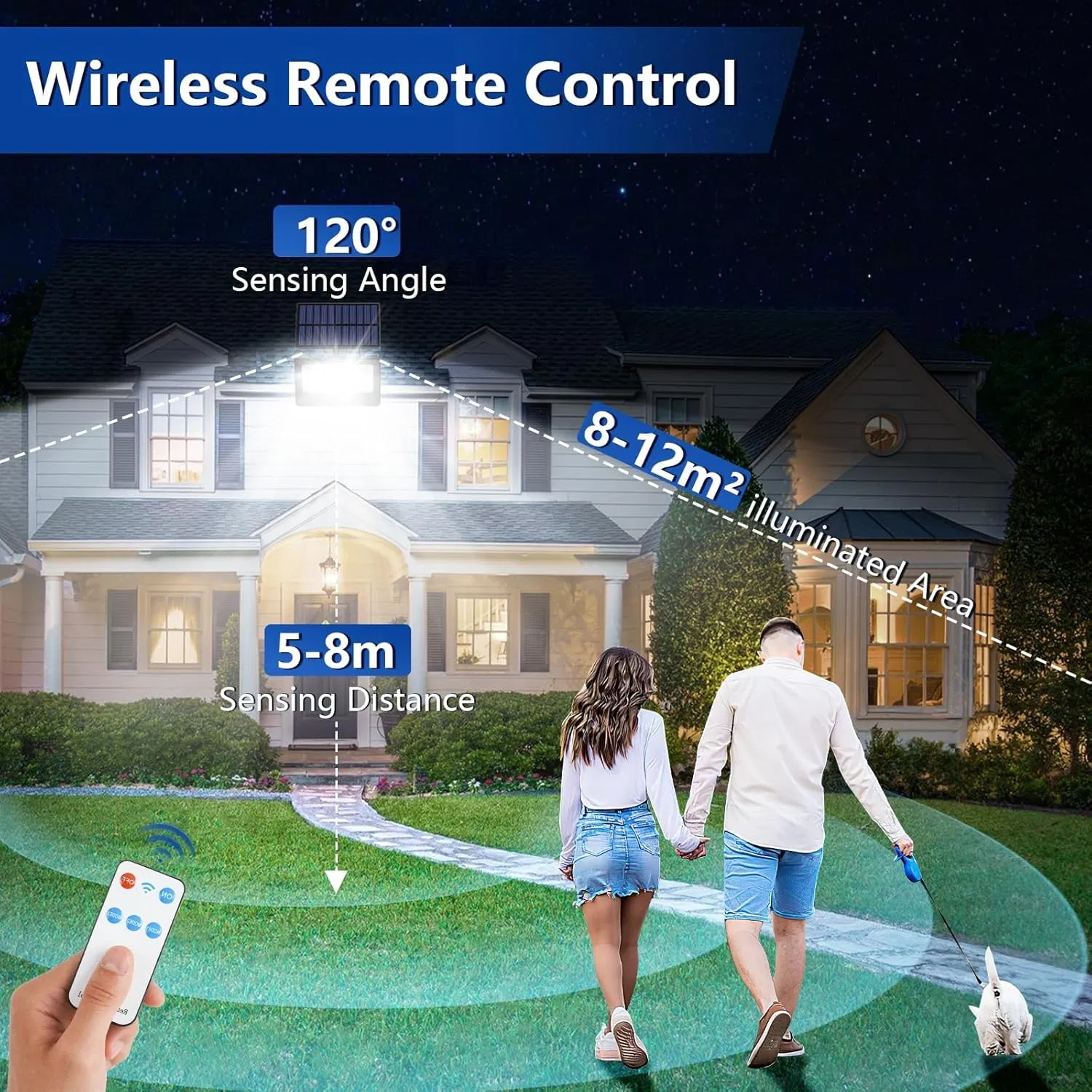 Topaz Solar Floodlight Radiant for Resort Pools