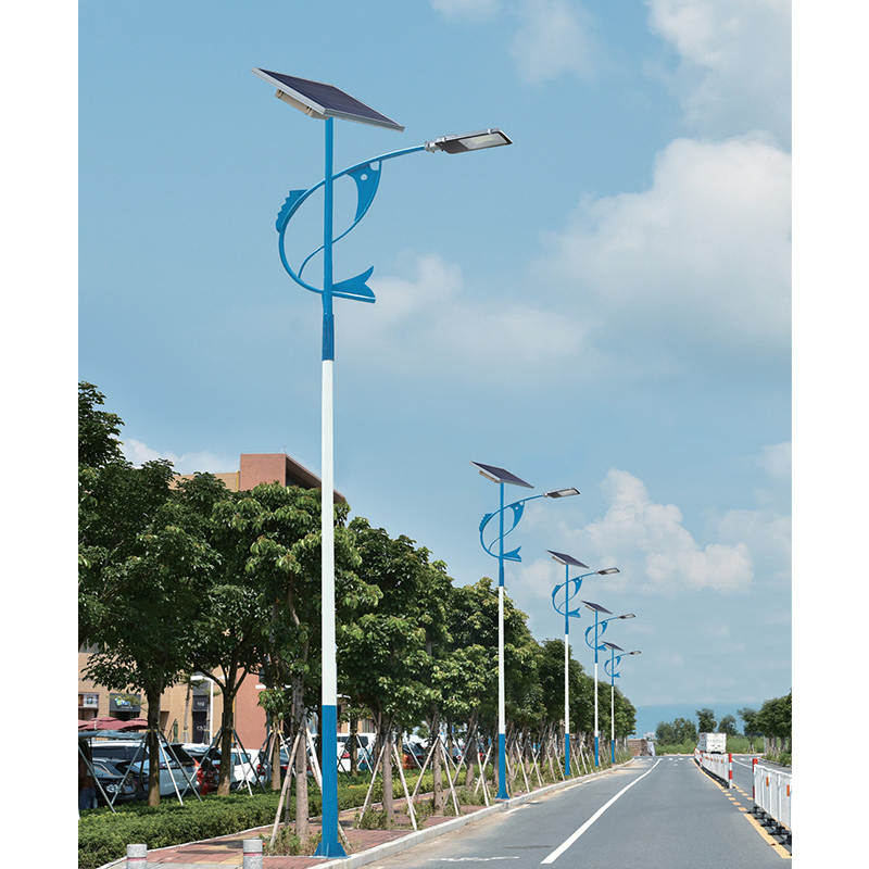 High-Efficiency Solar LED Street Light for Emergency Relief