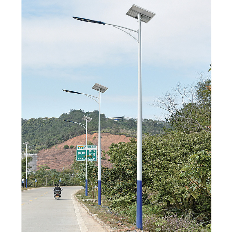 High-Efficiency Solar LED Street Light for Emergency Relief