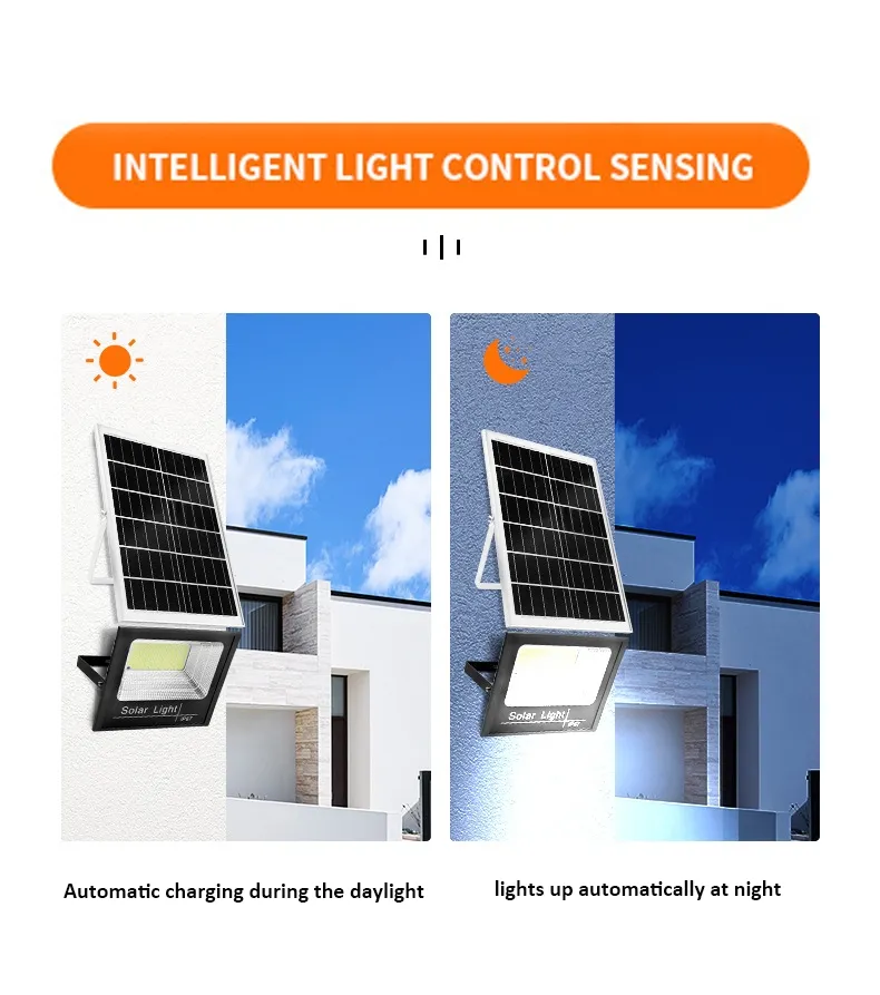 Portable Solar Light