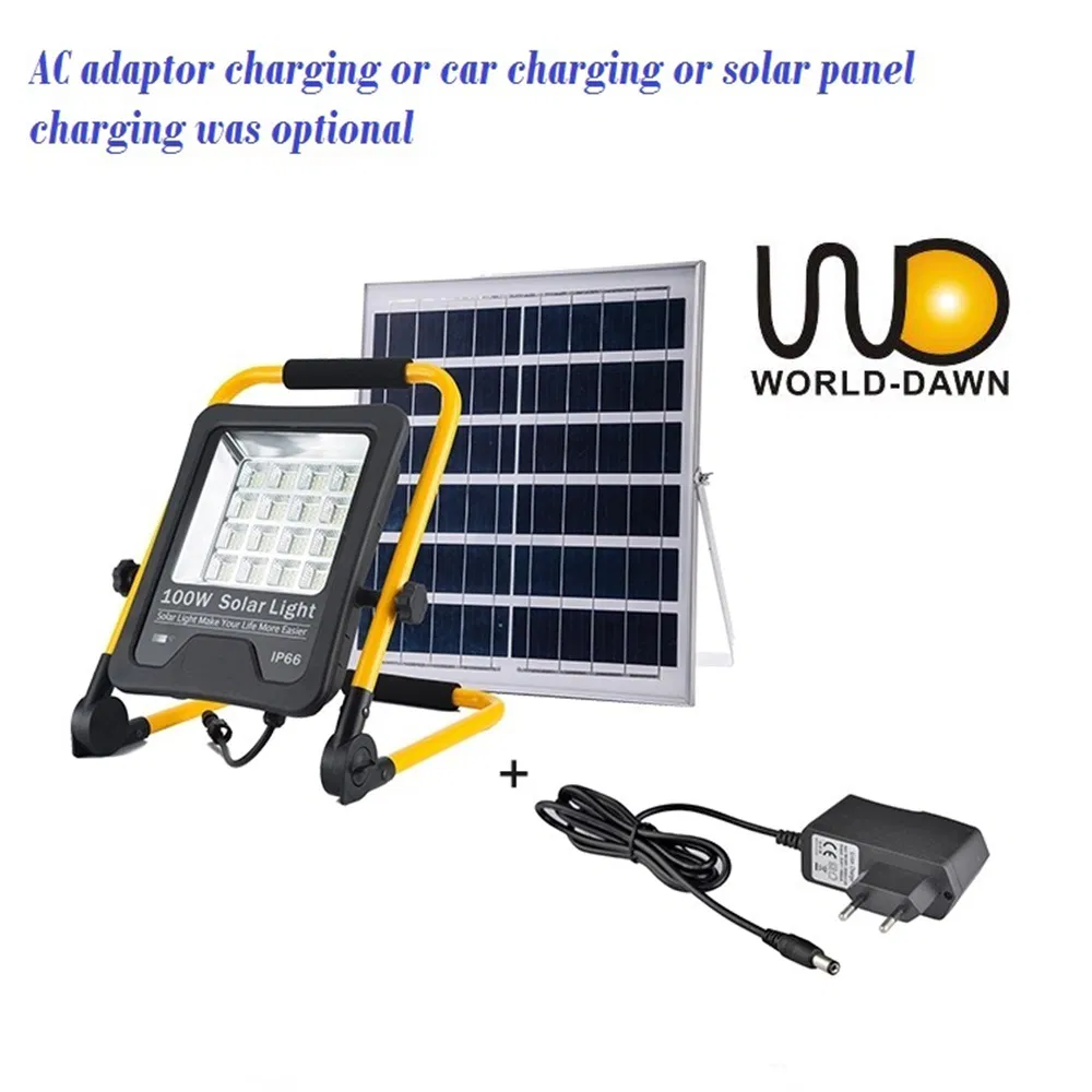 Solar Flood Light Detail