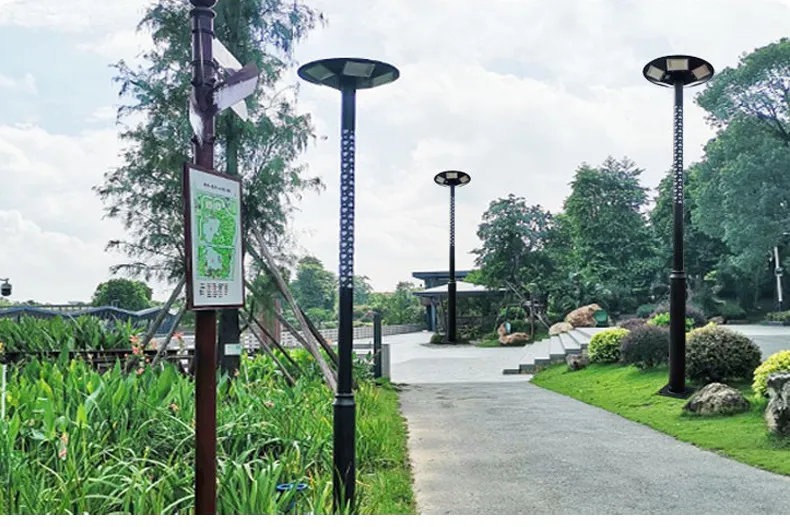 Solar Lighting Detail 5