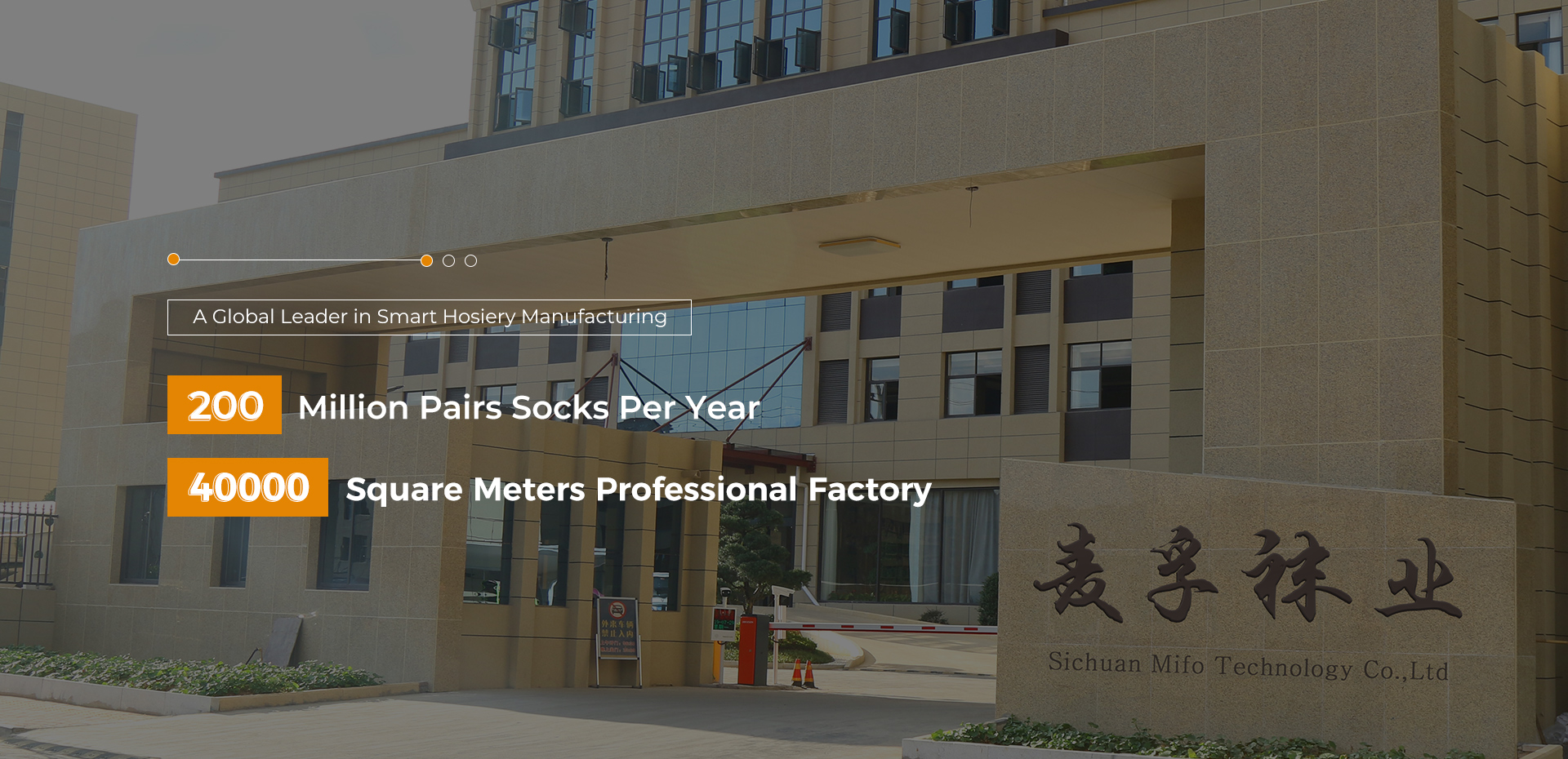 Mifo Anti Slip Socks Wholesale - China Leading Hosiery Manufacturer