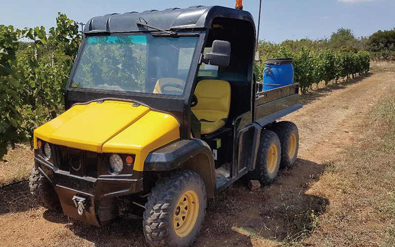 Vineyard Application 2