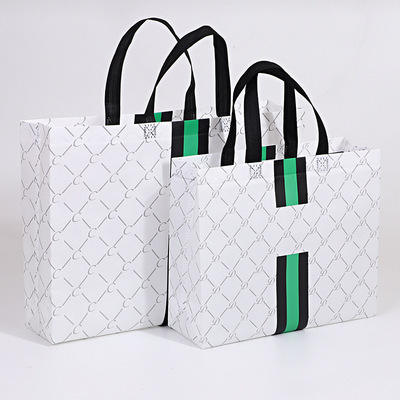 Laminated Non Woven Bag Reusable Waterpoof Non Woven Tote Bag with Custom Printing