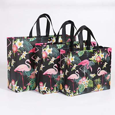 Hot Sale Laminated Non Woven Bag Reusable Waterpoof Non Woven Tote Bag