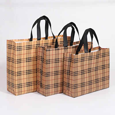 Custom Recyclable Pp Woven Bag for Shopping Packing Reusable Non Woven Bag