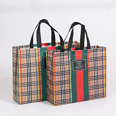 Custom Sympathybag Printed Laminated Custom Recyclable Pp Woven Bag for Shopping Packing Reusable Supplier, Factories