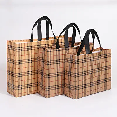 Custom Sympathybag Printed Laminated Custom Recyclable Pp Woven Bag for Shopping Packing Reusable Supplier, Factories