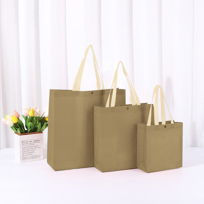 Wholesale Non Woven Grocery Shopping Tote Reusable Bag Ecological Non-woven Bag Biodegradable