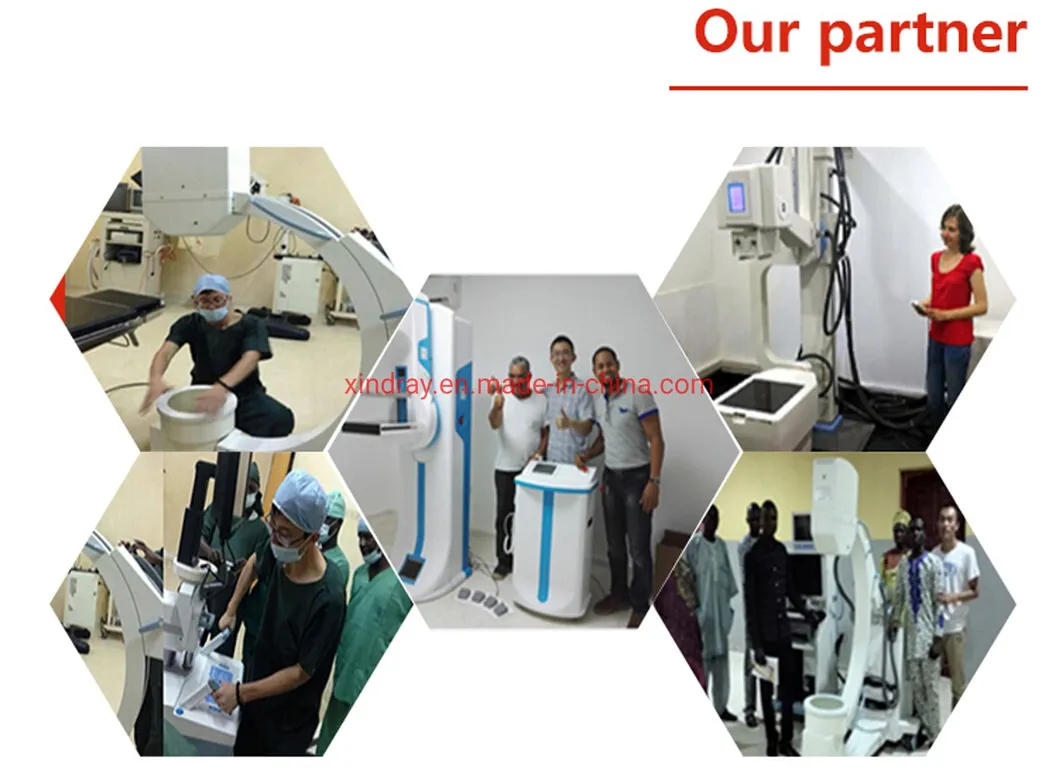 Nuestros partners