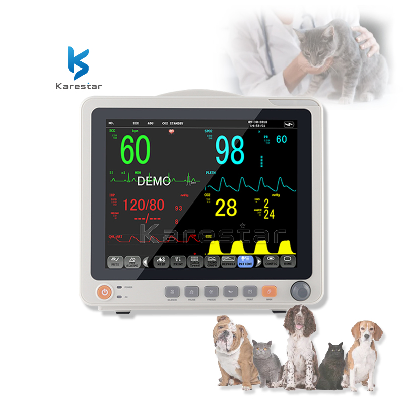 12.1 Monitor Multiparamétrico de Sinais Vitais ECG Portátil para Animais de Estimação Etco2 Monitor Veterinário