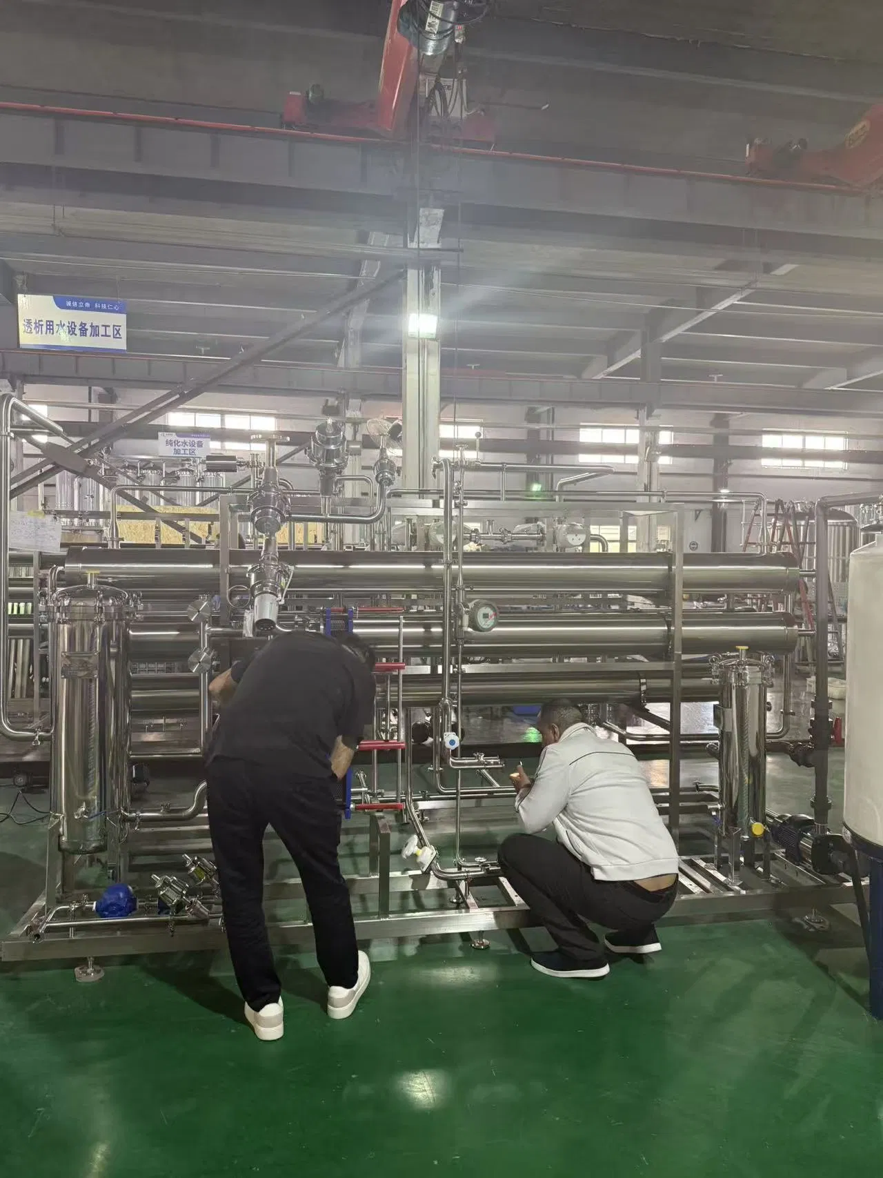 Sistema de Água Purificada RO EDI de Equipamentos Farmacêuticos Padrão GMP de Tratamento de Água