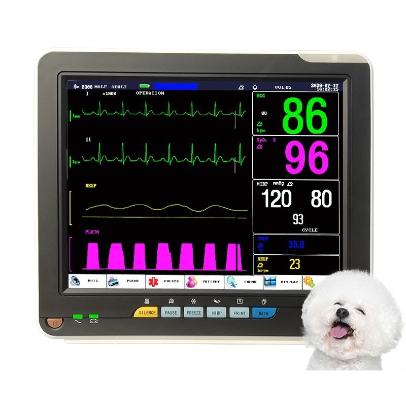 Monitor de Pacientes Fetais para Animais em Hospital Veterinário Clínica Inteligente para Monitoramento em Tempo Real da Saúde de Animais de Estimação e Sistema de Rastreamento para Pecuária