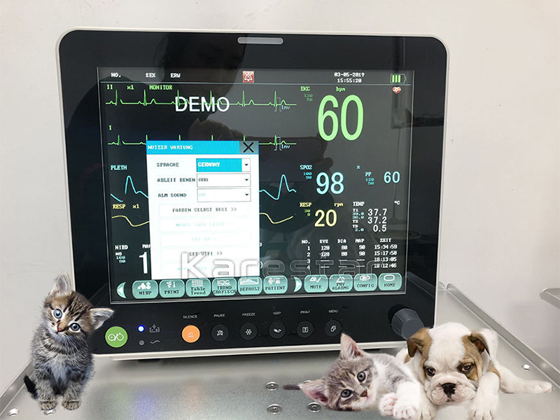 12.1 Monitor Multiparamétrico de Sinais Vitais ECG Portátil para Animais de Estimação Etco2 Monitor Veterinário