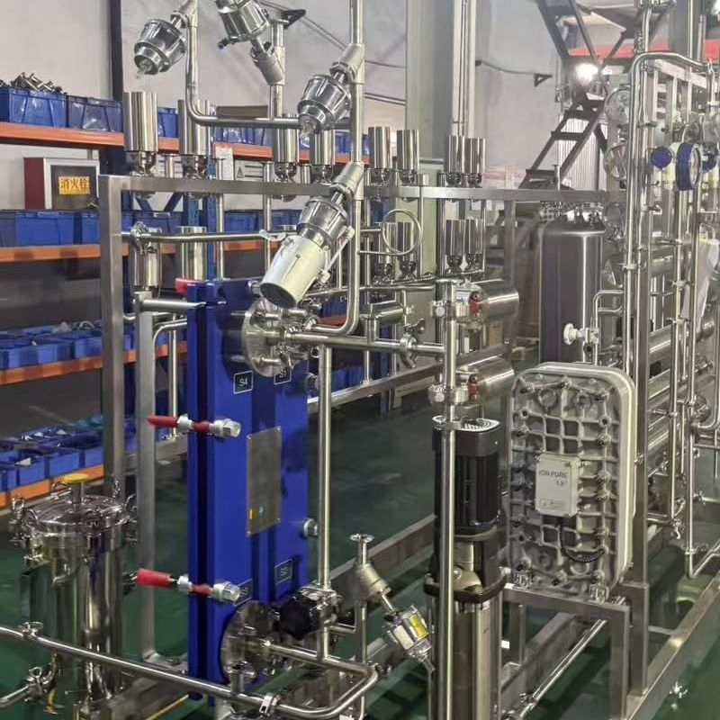 Sistema de Água Purificada RO EDI de Equipamentos Farmacêuticos Padrão GMP de Tratamento de Água