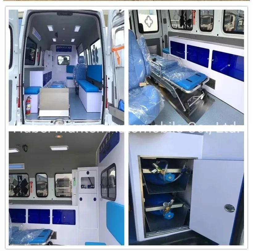 Interior Layout