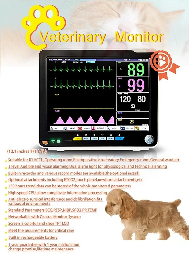 Detalhe Monitor