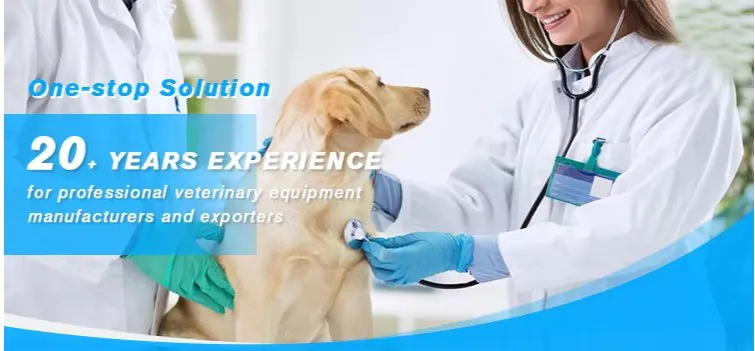 Monitor de Paciente Veterinário