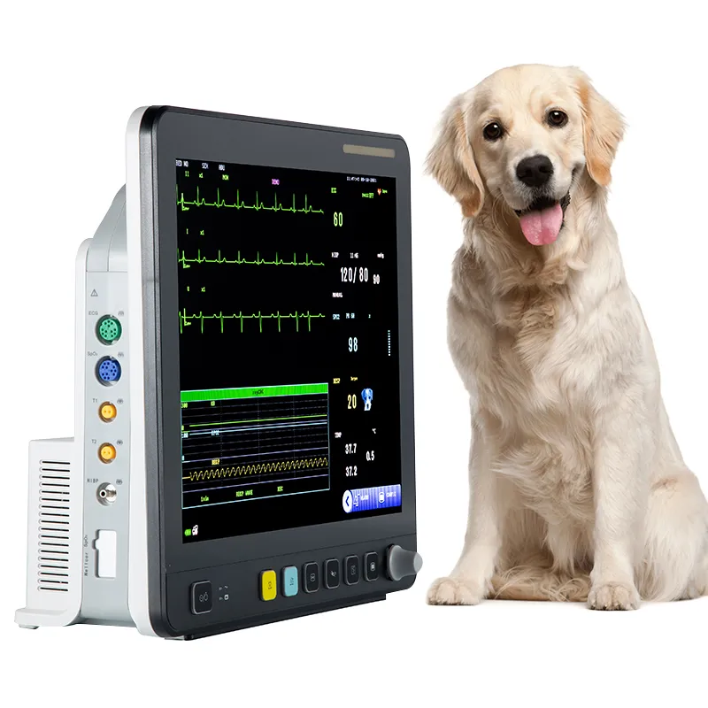 Monitor de Paciente 2