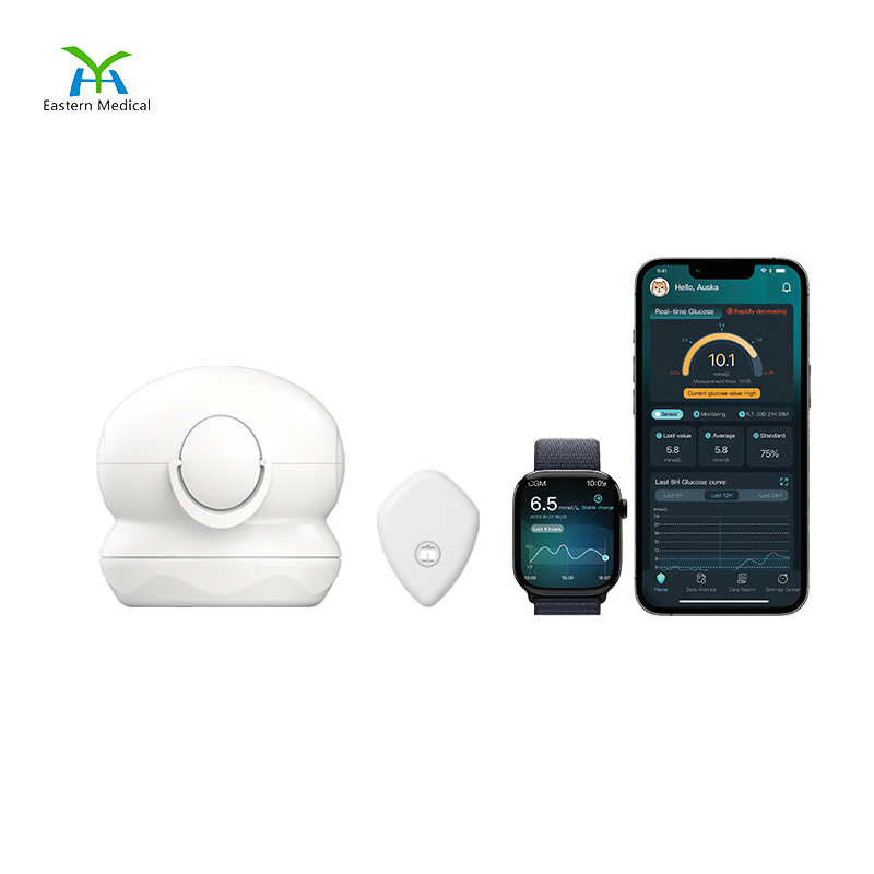 Sistema de Monitoramento Contínuo de Glicose / Design Tudo-em-Um / 15days