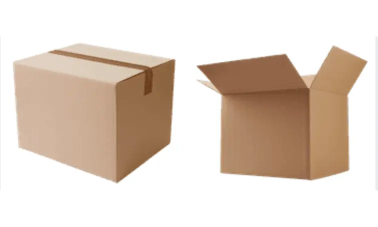 Carton Packaging
