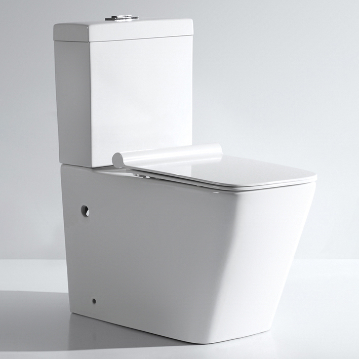 Hot Selling One Piece Toilet Style B
