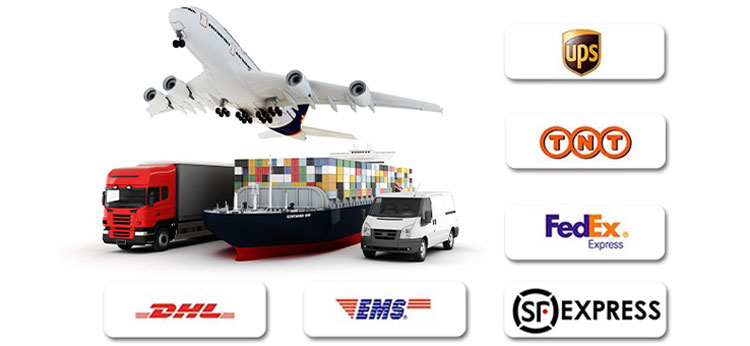 Shipping Info