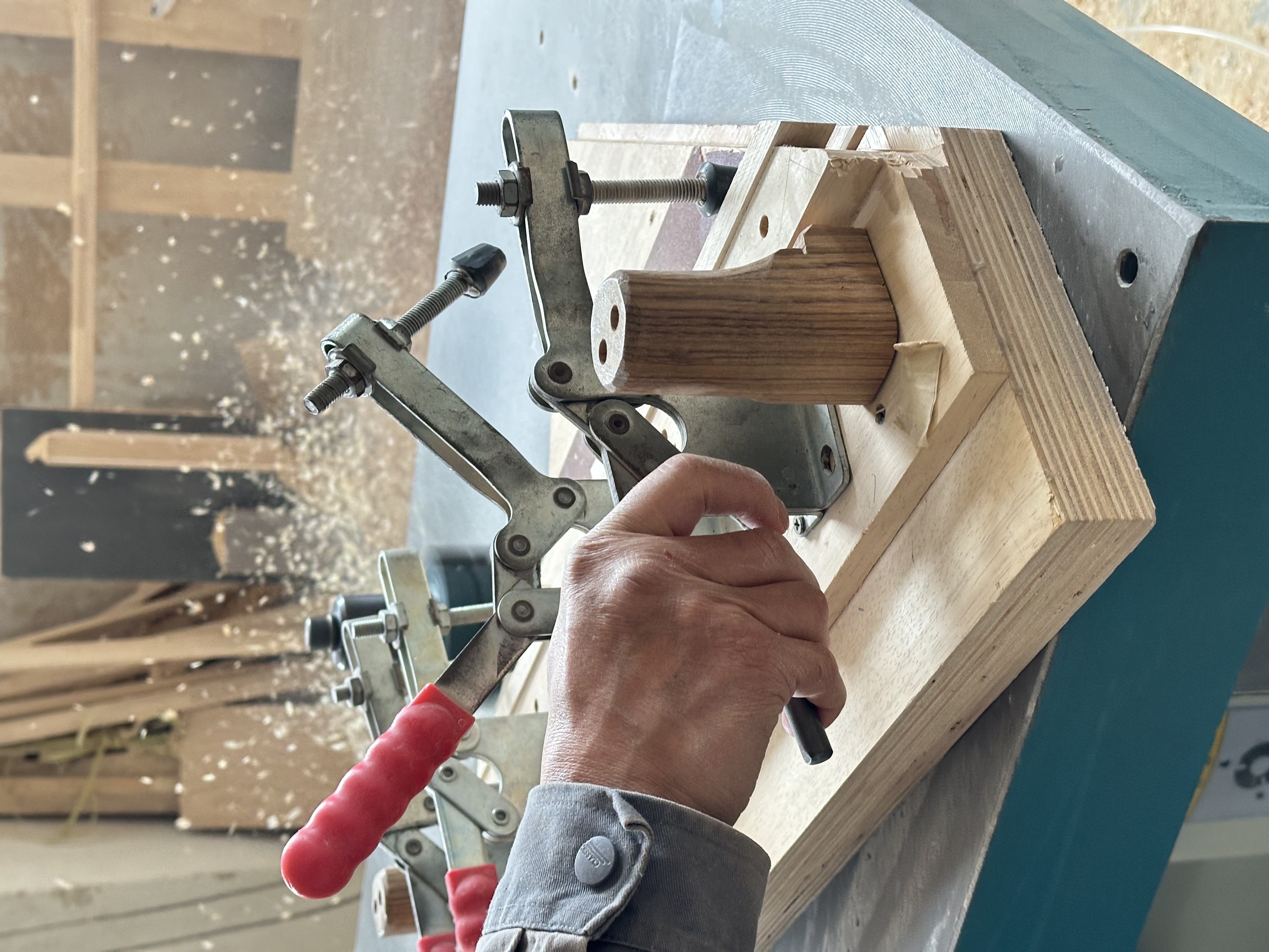 Oak Wood Raw Material