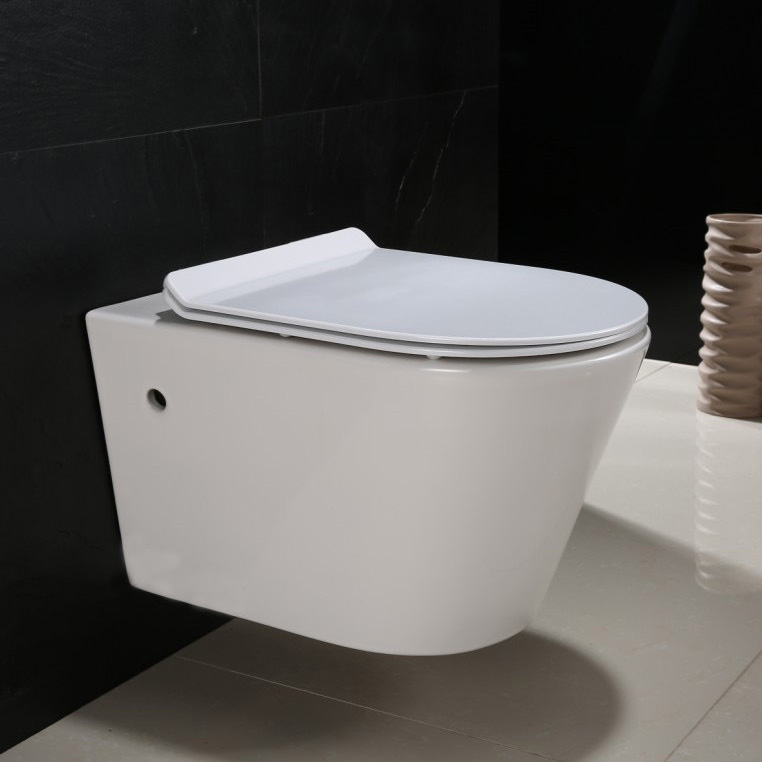 Ceramic Sanitary Ware Showroom Item 3