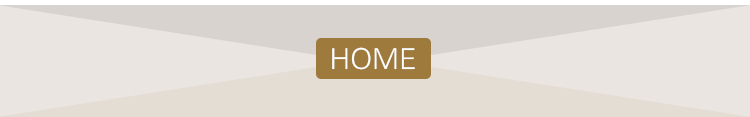 Back to homepage