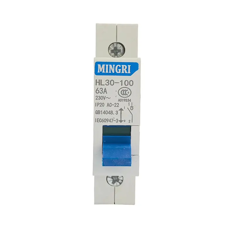 China High-Performance HL30-100 Miniature Disconnect Switch 1-4P 6-100A Factory, Companies
