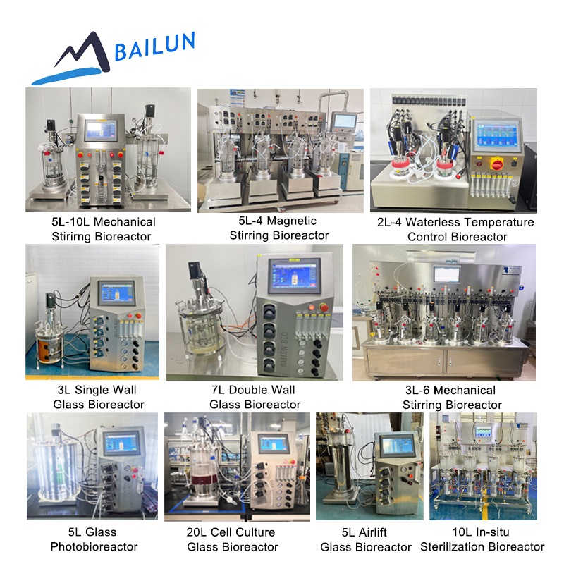 Bio-2l 7l 10l Jacket Glass Fermenter And Bioreactor Schizochytrium Sp. Anaerobio Borosilicate Glass Bioreactor Price