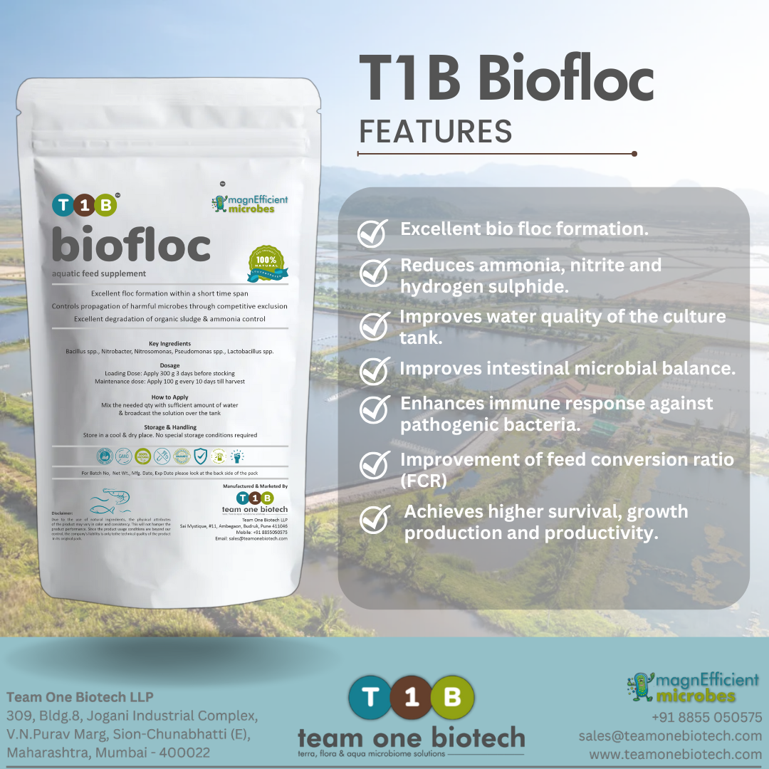 Probiotic Biofloc Culture for Aquatic Ecosystem Balance Made in India