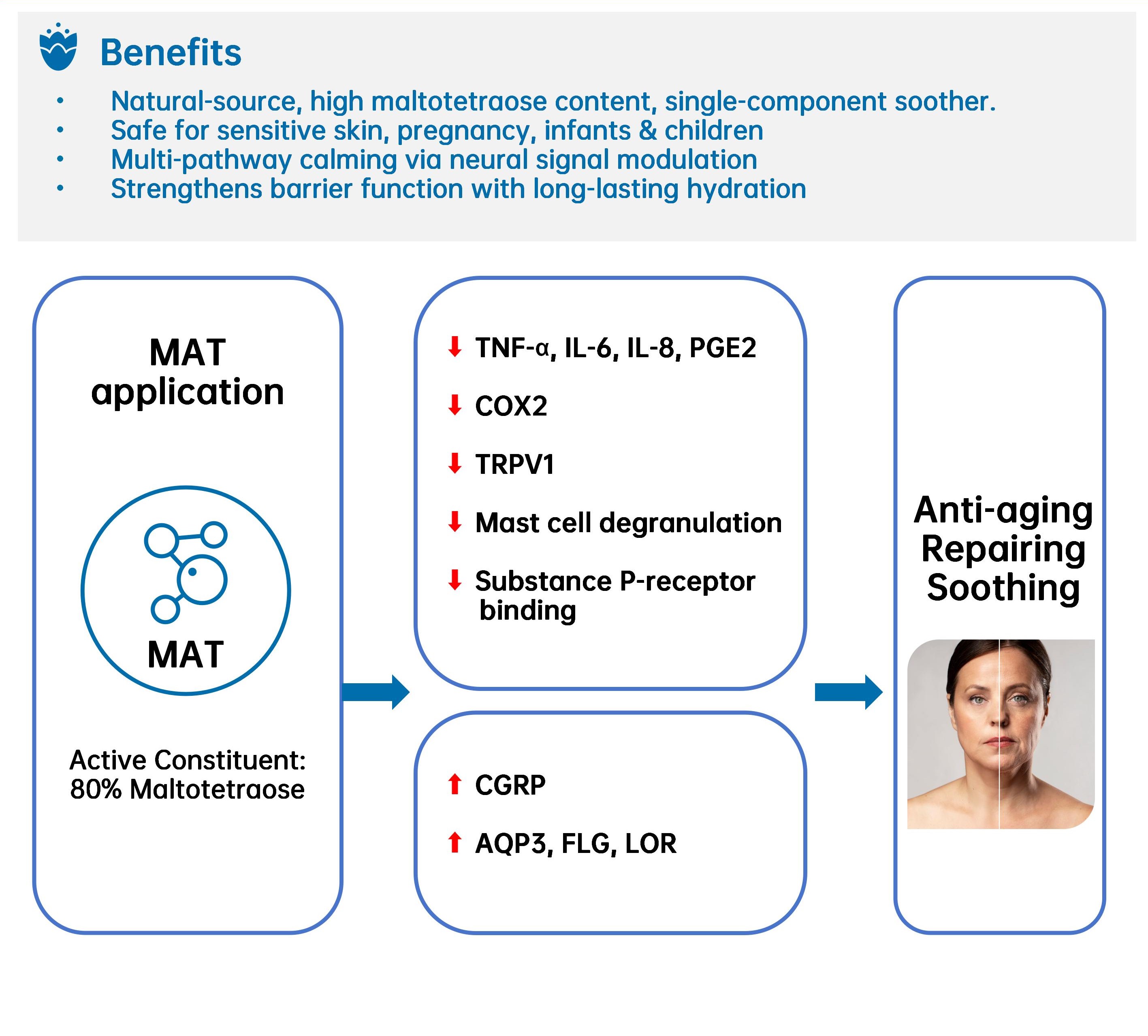 Maltotetraose Active Ingredient Anti-aging Repairing Soothing Hydrolyzed Corn Starch Skin Care Chemicals