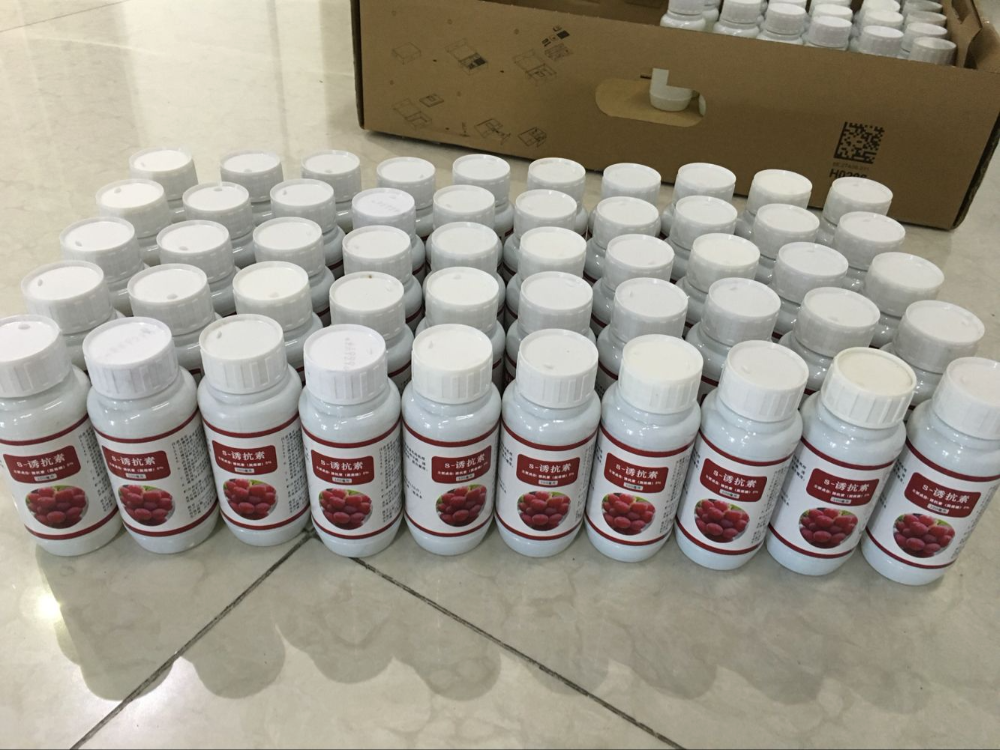 Container Packing