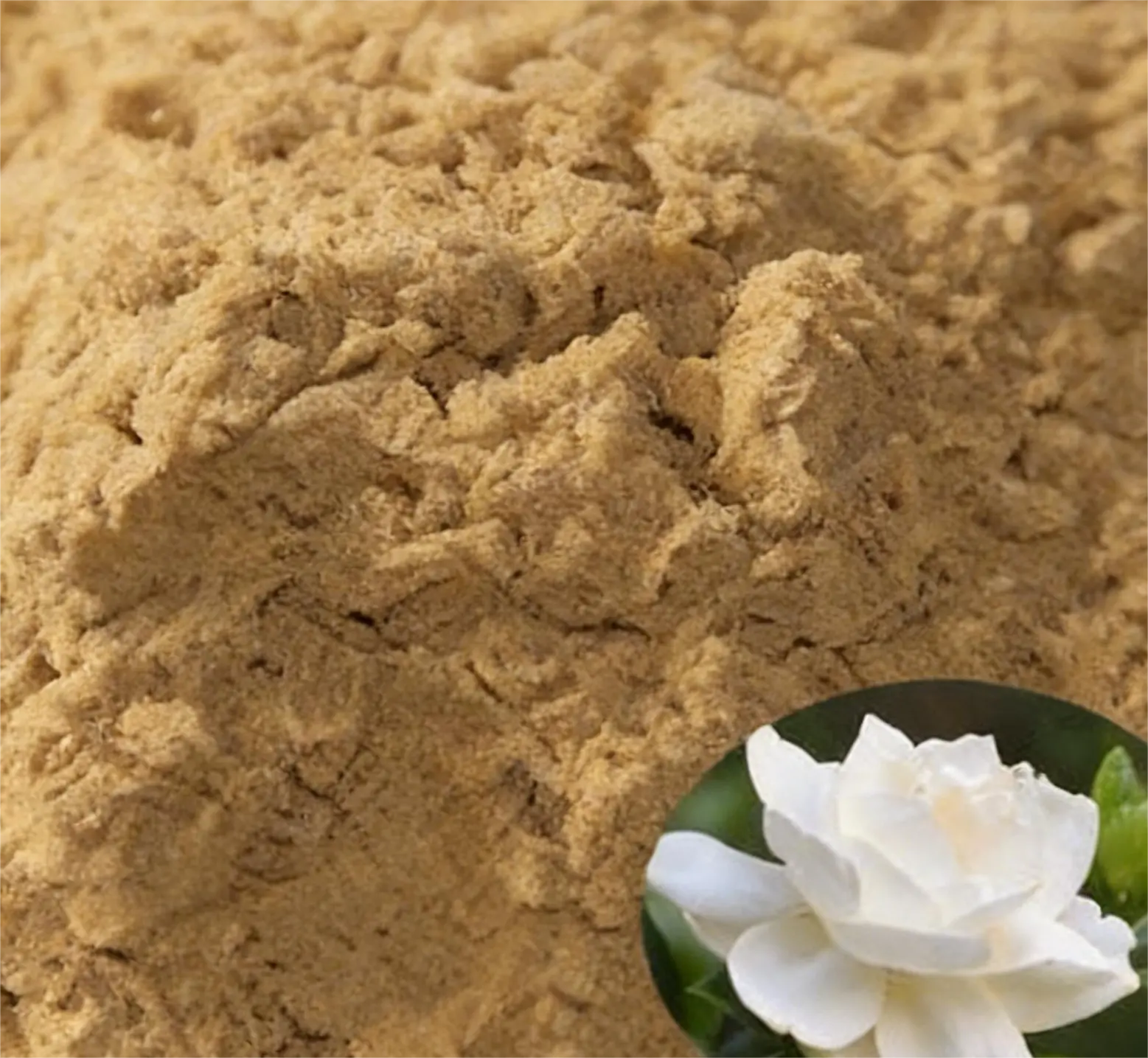 Natural Gardenia Flower Powder Pure Yellow Pigment for Tea, Baking &amp; Natural Dye | Food Grade, Organic, Bulk Supply Available