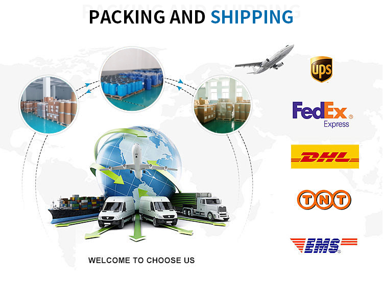 Safe Packaging and Export Delivery Shipping Details