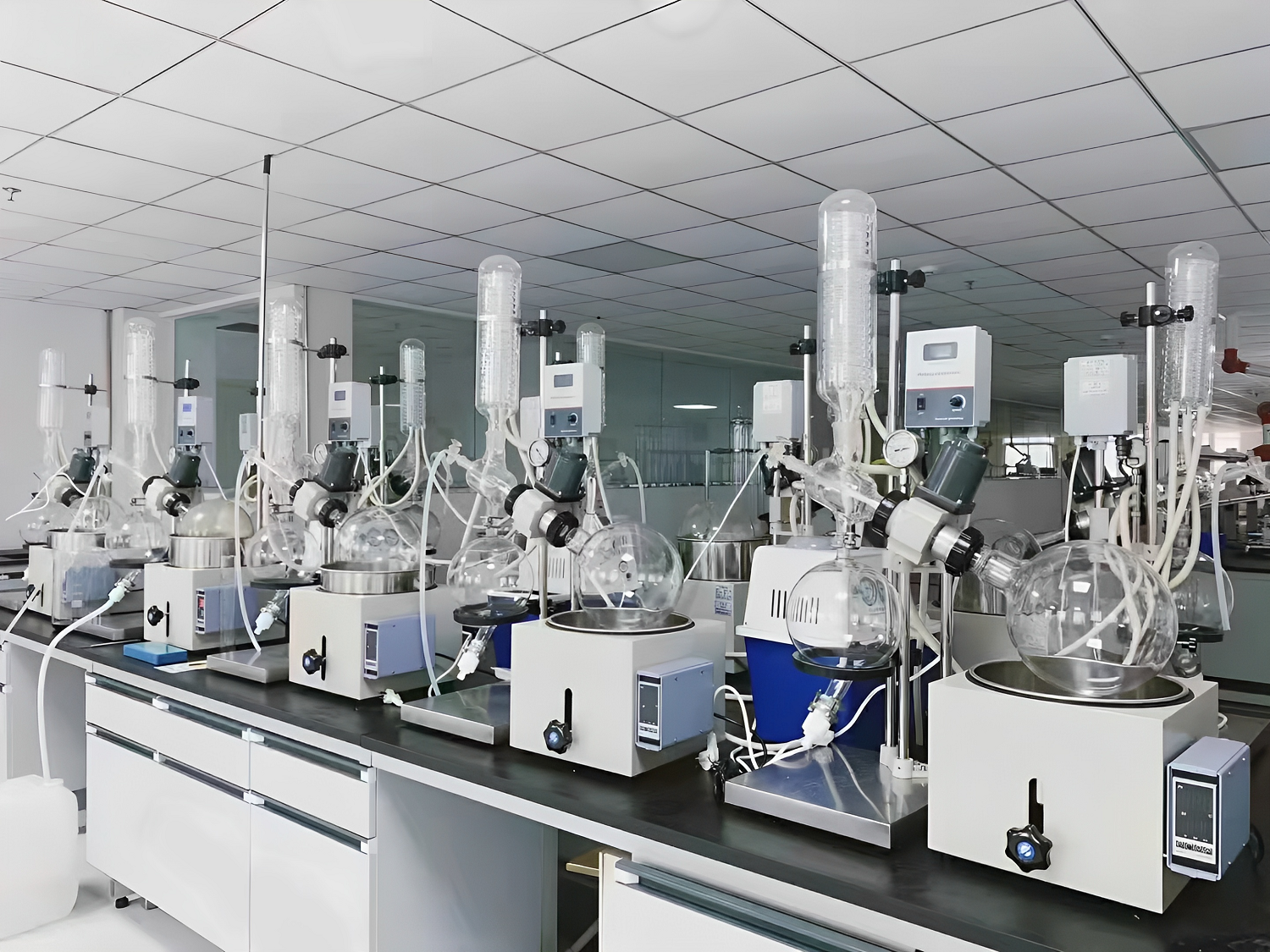 Laboratory Analysis