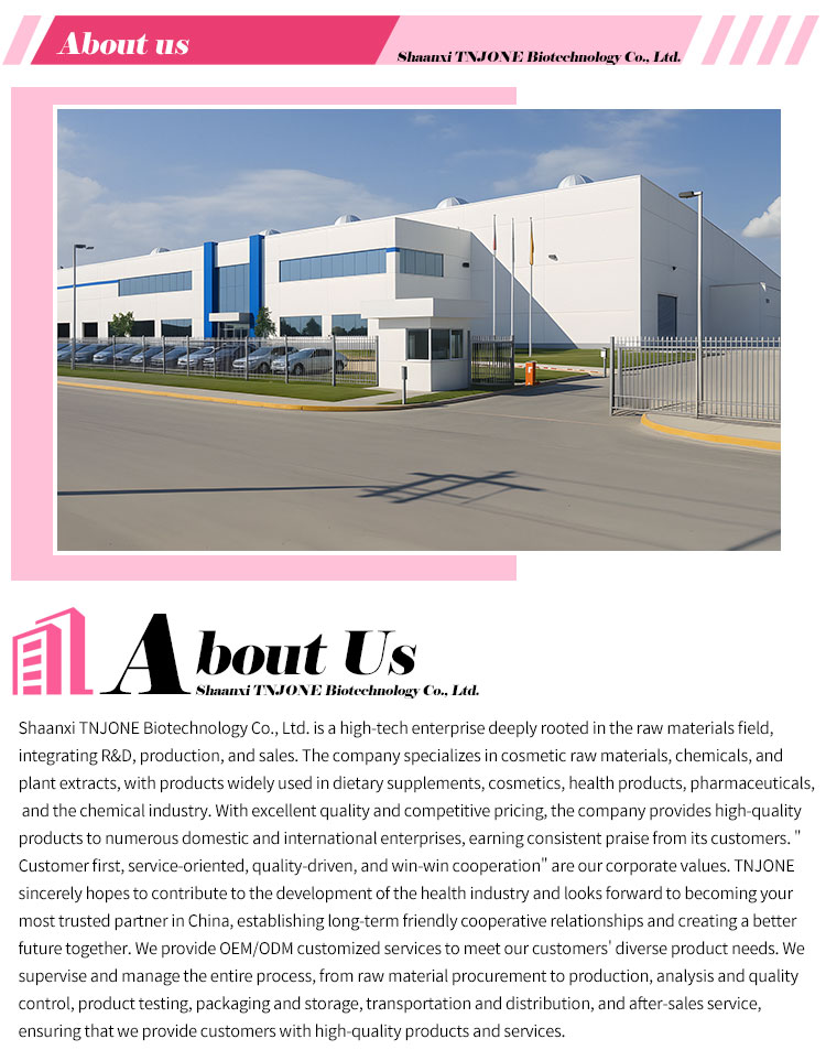 Company Overview