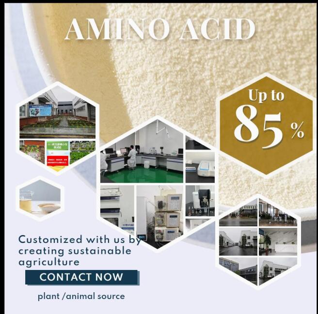 Free Amino Acid 90% | Fast-Absorption Fully Water Soluble White Powder Plant Bio-Stimulant Organic Organic Intermediates