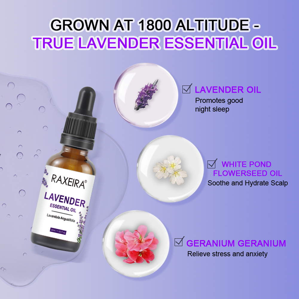 Factory Wholesale Bulk Free Sample Lavender Essential Oil Private Label Pure Natural Top Quality Lavender Oil for Hair