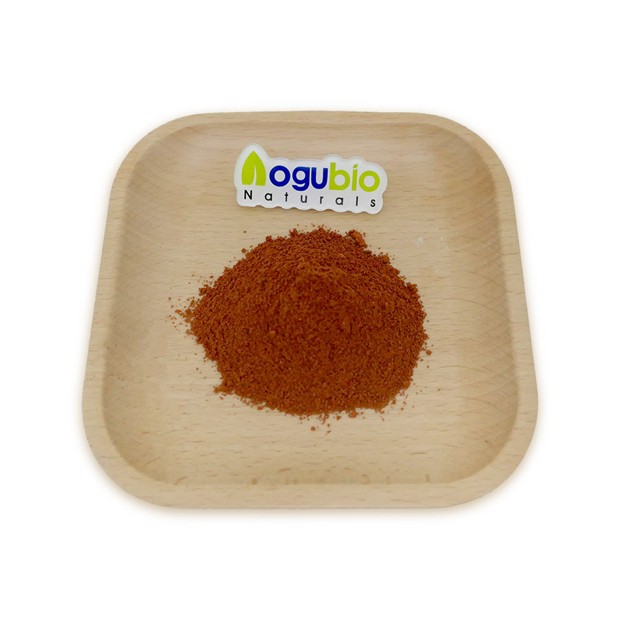 Factory Supply Natural Colorant Tomato Red Pigment High Quality Food Grade Tomato Red Pigment Powder