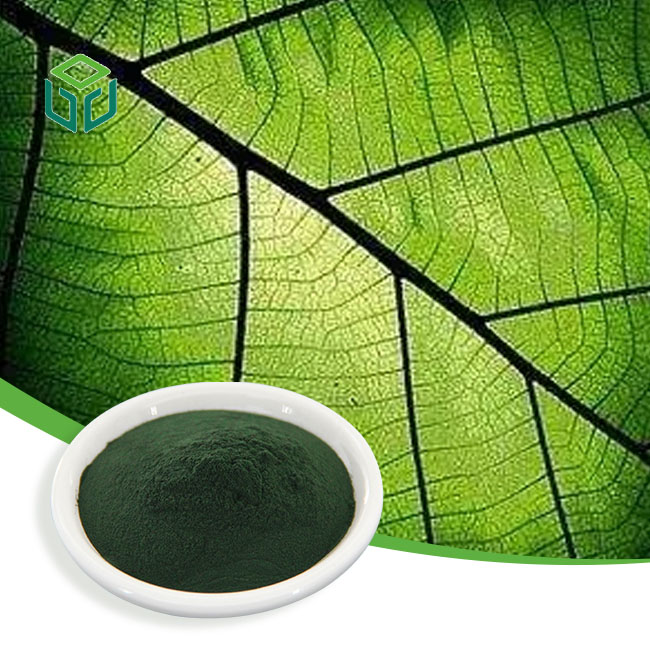 Natural Food Pigment Water Soluble 99% Sodium Copper Chlorophyll Sodium Copper Chlorophyllin Chlorophyll Powder