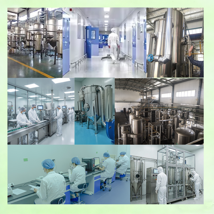 Lactiplantibacillus Plantarum Probiotic Culture Powder Dietary Supplement Ingredient