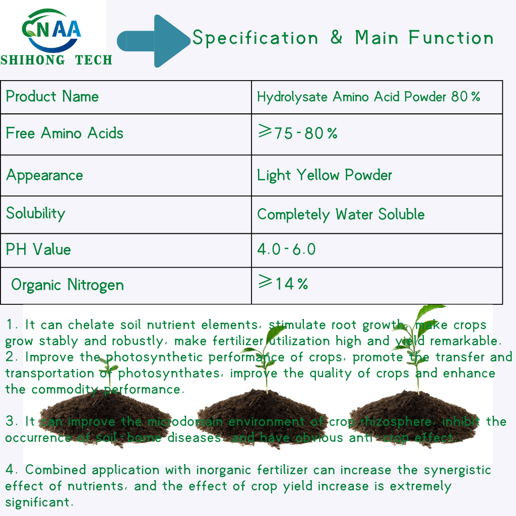 Specification Image 1
