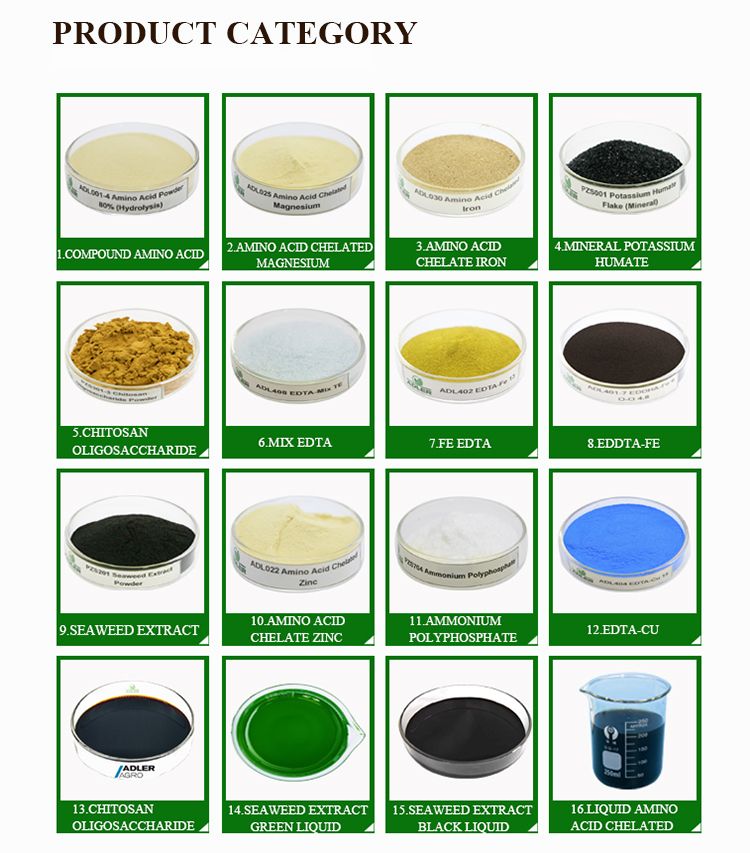 Product Application View 1