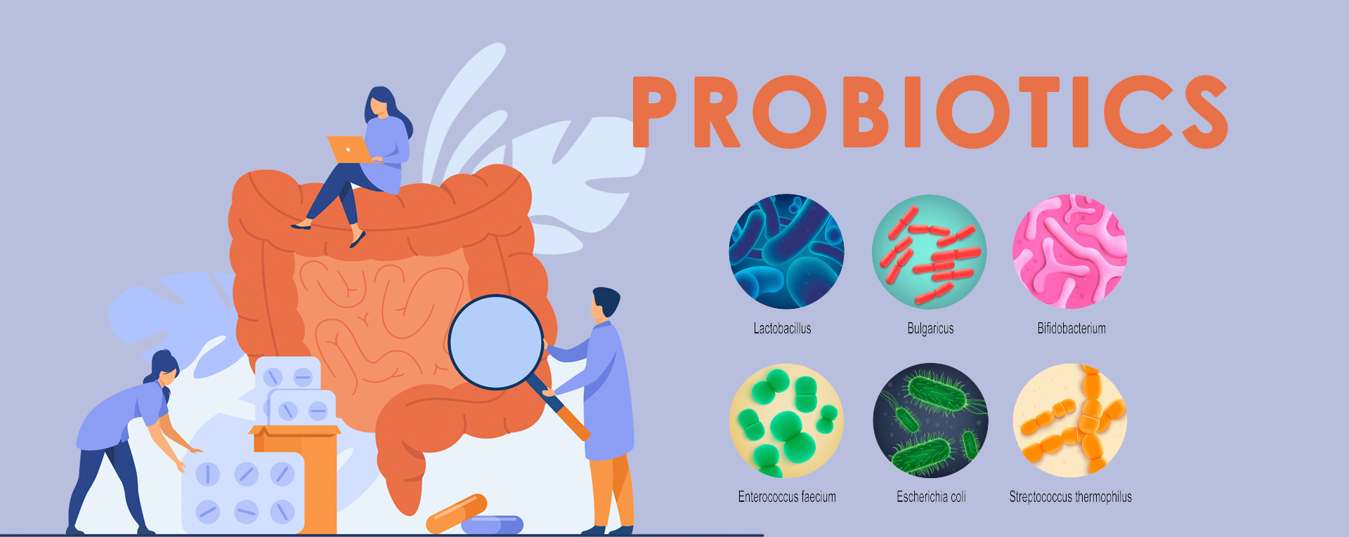 Probiotics Application